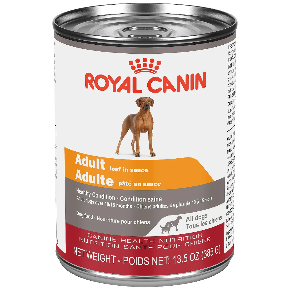 ROYAL CANIN, Pâté en sauce, Adulte, Toutes races, Porc et poulet, Pour chien, 385g